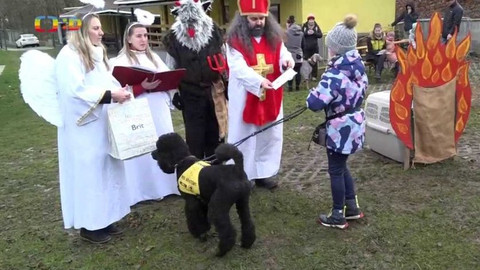 Zprávičky - 27. listopadu 2021