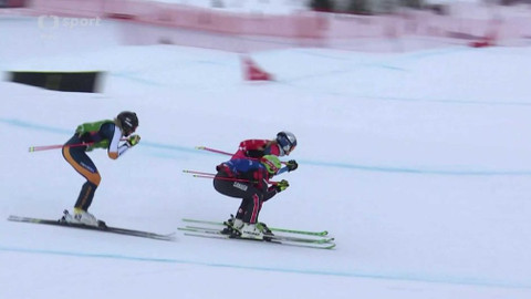 MS v akrobatickém lyžování a snowboardingu 2019 USA - Skikros