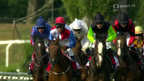 Dostihy - Cena Nadace pro rozvoj města Pardubic