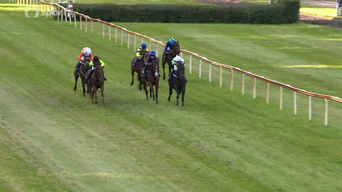 Koně a sport - 2. října