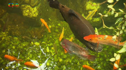 Tamtam - 22. února 2020