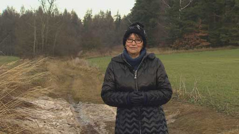 Chcete mě? - 26. ledna 2014