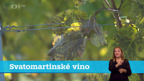 Události v regionech (Brno) - 5. listopadu 2024