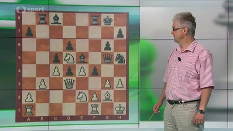 V šachu - 4. července 2014