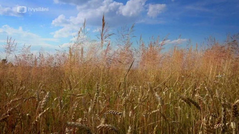 Kapka vody - Pestré hospodaření a jeho přínos
