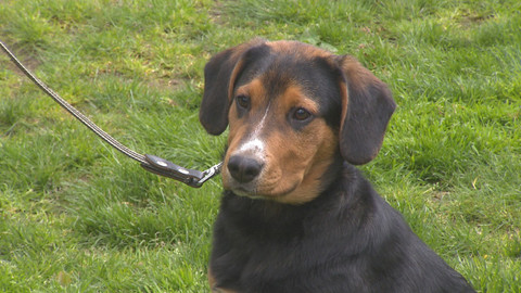 Chcete mě? - Chcete je?