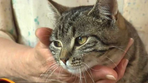 Chcete mě? - Chcete je?