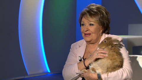 Hobby naší doby - 9. prosince 2017