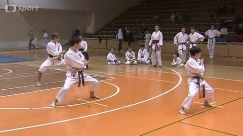 Sport v regionech - 30. ledna 2014