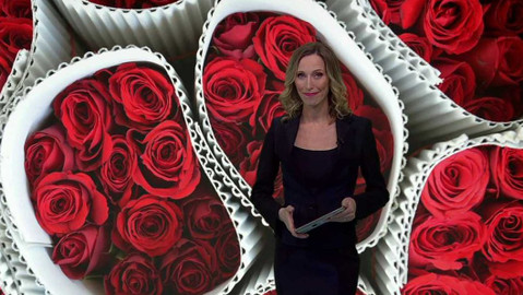 Horizont ČT24 - 20. února 2022