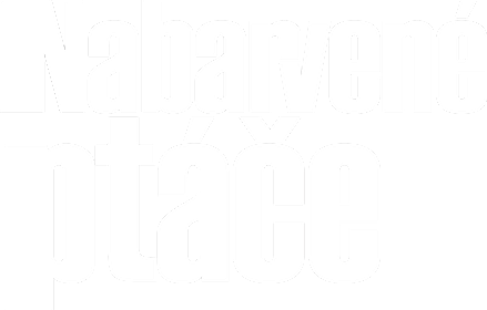 Nabarvené ptáče