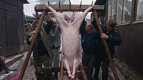 Jak se žije... - Jak se žije na české zabijačce podle Vladimíra Morávka