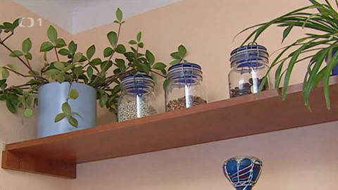 Bydlení je hra - 29. prosince 2005