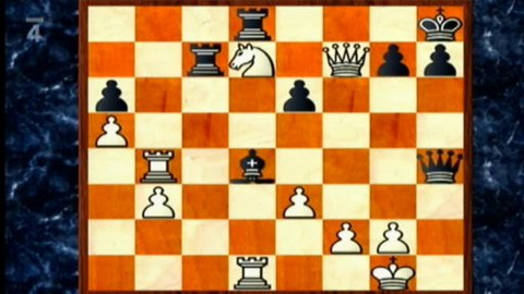 V šachu - 25. června 2010