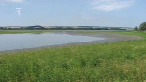 Živé srdce Evropy - Nesyt