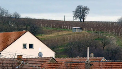 Náš venkov - Vinaři a svatomartinské tradice