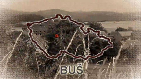 Divnopis aneb Proč se to tak jmenuje? - Buš