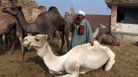 Objektiv - 4. prosince 2011