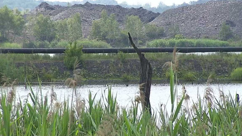 Regiony ČT24 - 12. listopadu 2022