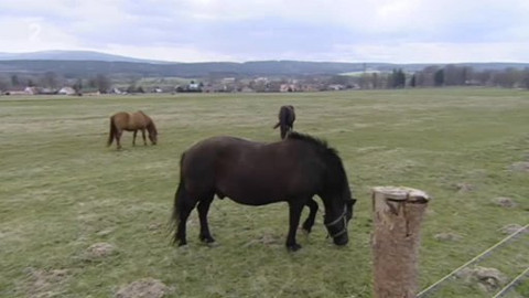 Náš venkov - Z města pro mladé jiná cesta