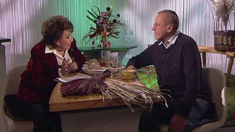 Dobrá rada nad zlato - 23. února 2008