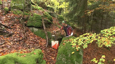 Sport v regionech - Vodňanský kapr