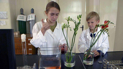 Biblická pátrání - 13/18 Ježíšova podobenství