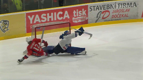 1. česká hokejová liga mužů - Maxa liga - souhrn