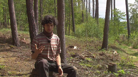 Nedej se! - Jak se staví les