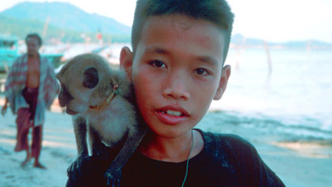 Můj mazlíček - 18/26 To a jeho opička