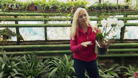 Polopatě - 5. října 2014