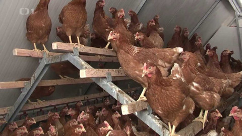 Hobby naší doby - 13. března 2021