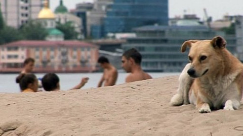 Q - 14. září 2010