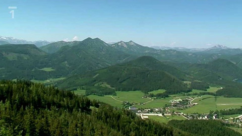 Objektiv - 13. května 2012