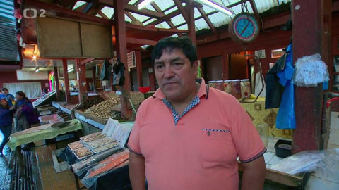 Evropa dnes - Ryby bez vedlejších účinků