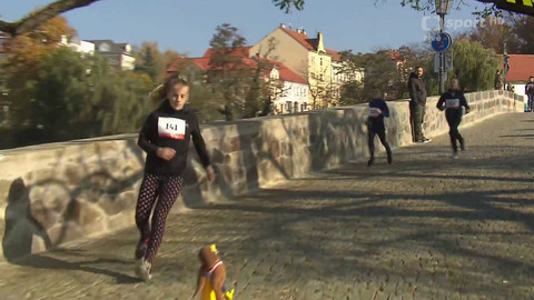 Sokolský zpravodaj - Sokolský běh republiky