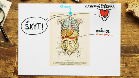What the Fact? - Proč škytáme?