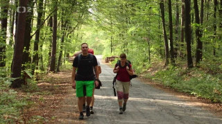 Pěšky hezky česky