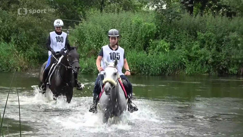 Jezdectví - Mistrovství České republiky a mezinárodní závody ve vytrvalosti Nebanice