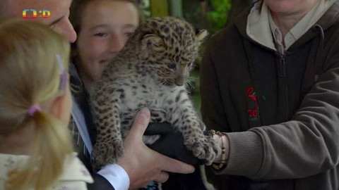 Zprávičky - 14. července 2021