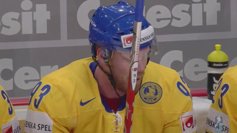 MS v ledním hokeji 2012 Finsko a Švédsko - Švédsko - Česko