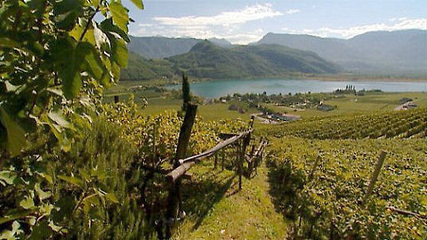 Putování za vínem - 13/15 Lazio, Umbria, Emilia-Romagna
