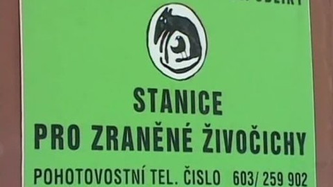 Toulavá kamera - 19. února 2006