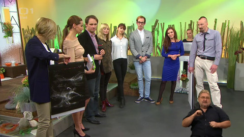 Sama doma - 4. listopadu 2016