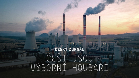 Češi jsou výborní houbaři