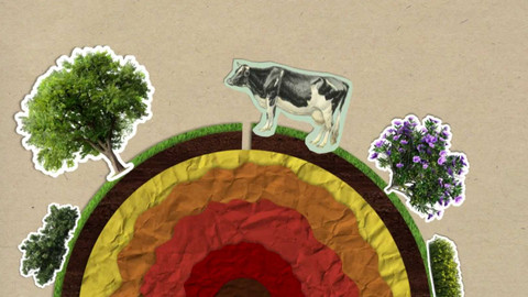 To je něco! - Co způsobuje zemětřesení?