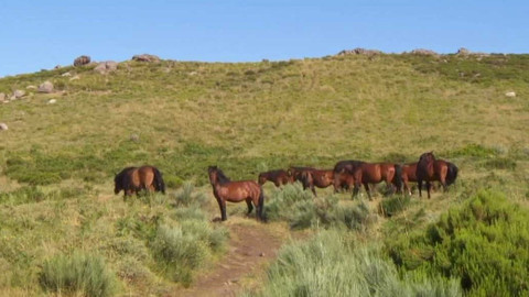 Evropa dnes - Partnerství pro ochranu - národní park Peneda-Gerês