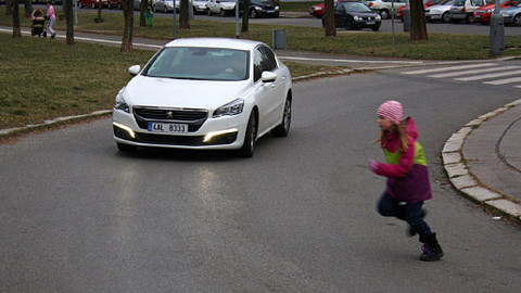 Besipky - Příklad rodičů