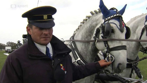 Jezdectví - Mezinárodní závody spřežení CAI Kladruby