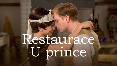 Restaurace U prince